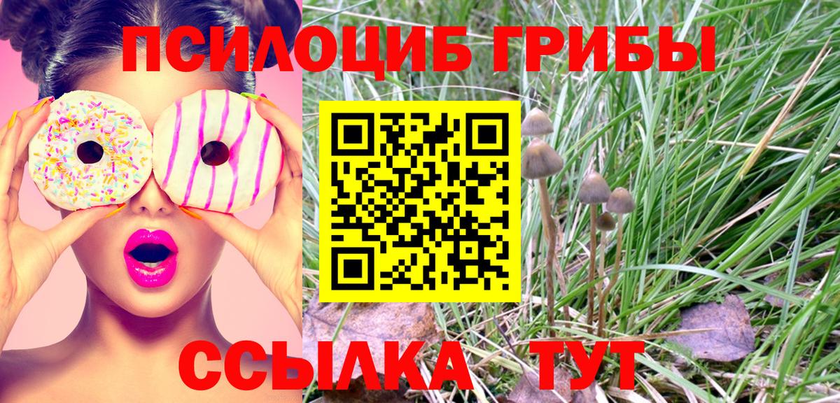 Галлюциногенные грибы GOLDEN TEACHER  Вход с VPN  Псилоцибиновые грибы Psilocybe  Набережные Челны 